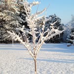 Scott Goode - @scottgoode64 - Instagram