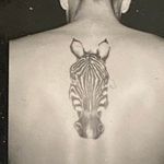 Scott Goodrich - @scott.goodrich.121 - Instagram