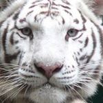Scott Goodspeed - @cpt_blkstn - Instagram