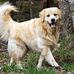Scott Gottfried - Facebook