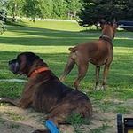 Scott Gowdy - @scottgowdy - Instagram