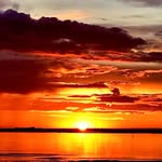 Scott Gower - @gower.420 - Instagram