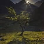 Scott Gower - @scott94052 - Instagram
