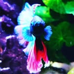Scott M Grasser - @northpointcreek - Instagram