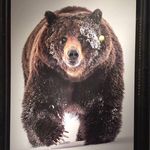 Scott Gratton - @scott.gratton.7 - Instagram