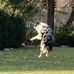 Scott Grebe - Facebook