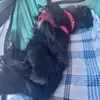 Scott Gress - @scott.gress5 - TikTok