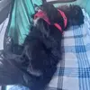 Scott Gress - @scott.gress5 - TikTok