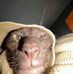 Scottsh Grider - Facebook