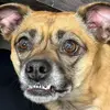 Colorado newbie - @scottgriffith096 - TikTok