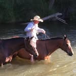 Scott Griggs - @griggs8235 - Instagram