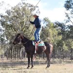 Scott Griggs - @griggs214 - Instagram