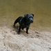 Scott Grindle - Facebook