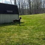 scottgroff - @sgroff37 - Instagram