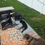 Scott Guerin - @scottg_9721 - Instagram