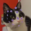 scottguerini - @scottguerini - TikTok