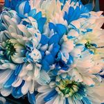 Scott Haber - @scotthaber401 - Instagram