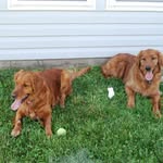 Scott Haber - @scotthaber7808 - Instagram