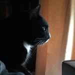 Scott John Haber - @scotthaber7 - Instagram
