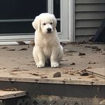 Scott Hackbarth - @scotthackbarth - Instagram