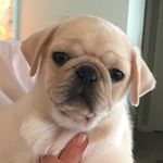 Courtney Haden Scott - @courtney_haden_scott - Instagram