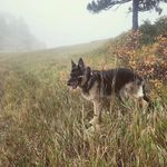 Scott Haden - @scotthaden - Instagram