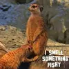 spyman635 - @scotthafer1 - TikTok