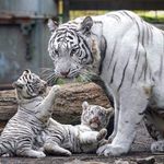Scott Hague - @mwar0541 - Instagram