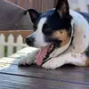 Scott Hallstrom - @scott.hallstrom - TikTok
