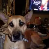 Scott Hamlett - @scott.hamlett - TikTok