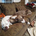 Scott Hammock - @hammock.1974 - Instagram