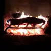 Scott Hammock - @scott.hammock - TikTok