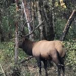 Scott Hamrick - @hamrick71 - Instagram