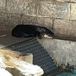Scott - @scott_haner - Instagram