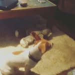 Scott Ryan Hanrahan - @scottryanhanrahan - Instagram