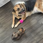 Scott Harbour - @scott_harbour_382 - Instagram