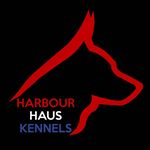Scott Harbour - @harbour_haus_kennels - Instagram