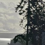 Scott Hardcastle - @relicheart - Instagram