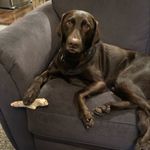 Scott harden - @mychocmalley - Instagram