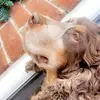 leescotthardman - @leescotthardman - TikTok