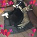Scott Harford - Facebook
