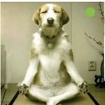 Scott Hargrove - @stephinekerr - Instagram