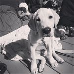 Scott Harkey - @greatscott798 - Instagram