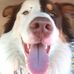 Angus Scott Harms - Facebook