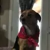 Scott Harms - @scott.harms6 - TikTok