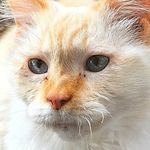 Scott Harms - @scott_t_harms - Instagram