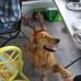Scott Harn - Facebook