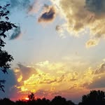 Scott Haskins - @rscotthaskins - Instagram