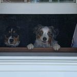 Scott Hawkinson - @scotthawk2112 - Instagram