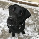 Scott Hayduk - @scott_hayduk - Instagram